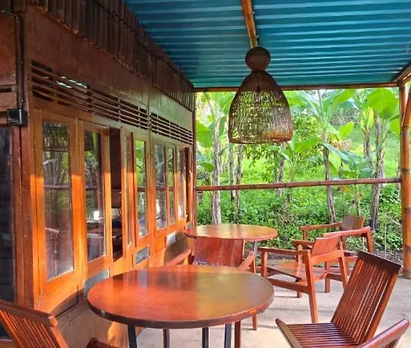 Jungle Medewi Bali ホステル Airsatang