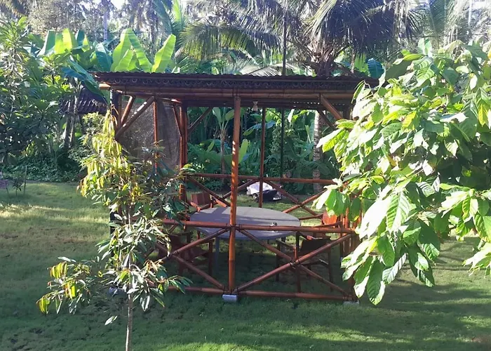 Jungle Medewi Bali ホステル Airsatang