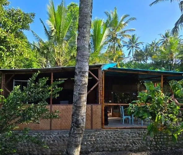 Jungle Medewi Bali ホステル *